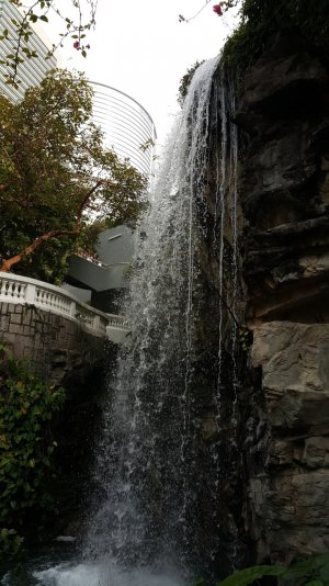 20150218_154632.jpg