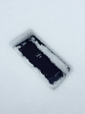 3310.jpg