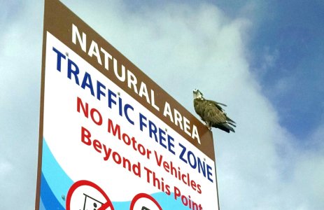 Natural Area3.jpg