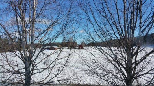 20150308_113428.jpg
