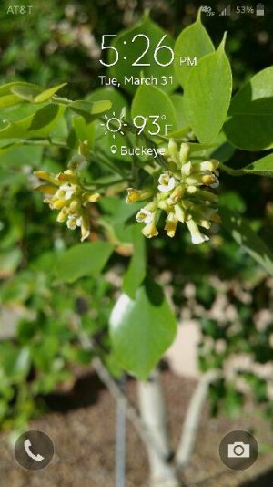 Screenshot_2015-03-31-17-26-41.jpg