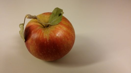 20140918_095355.jpg