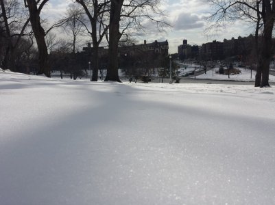 IMG_20150219_131750.jpg