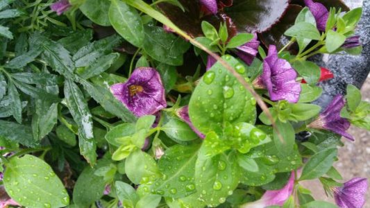 20150415_151700.jpg