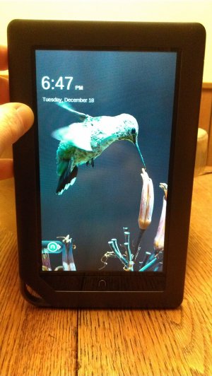 IMAG0074.jpg