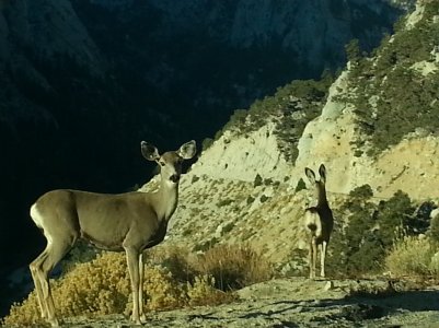 20121028_075150.jpg