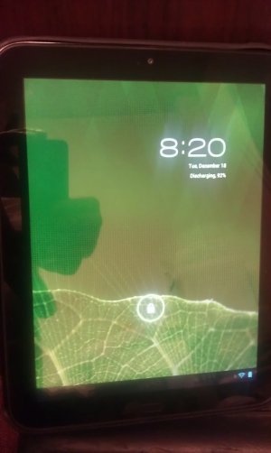 IMAG0084.jpg
