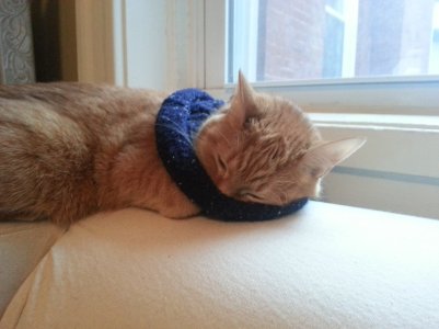 20121209_143616.jpg