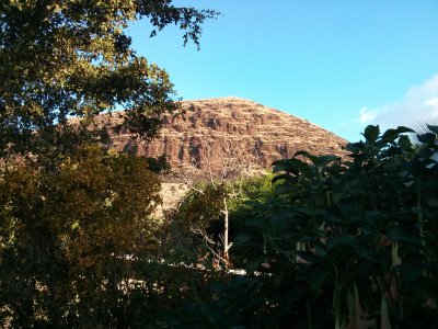 IMG_20121210_081441.jpg