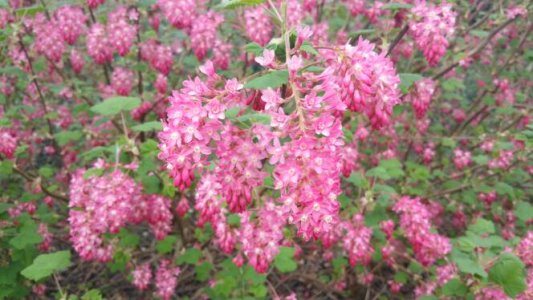 20150405_112416.jpg