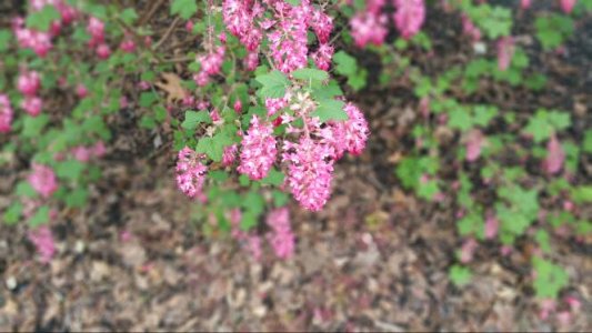 20150405_112335.jpg
