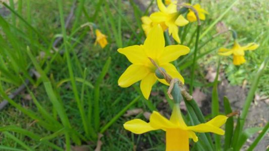 20150405_104058.jpg