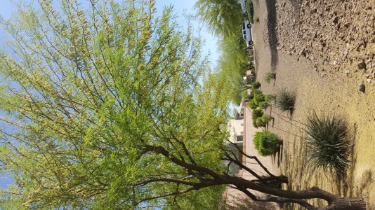 20150414_151013[1].jpg