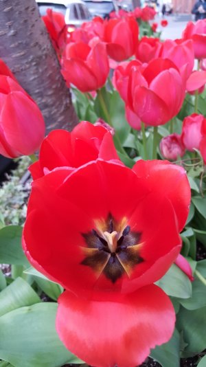 2015-04-05 18.05.33.jpg
