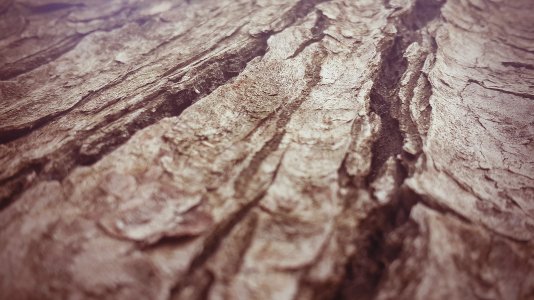 20150407_140811.jpg