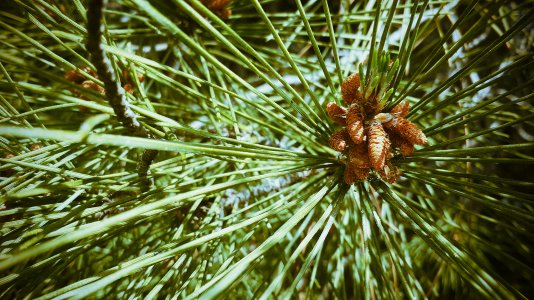 20150407_142452.jpg