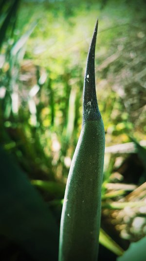 20150407_142538.jpg