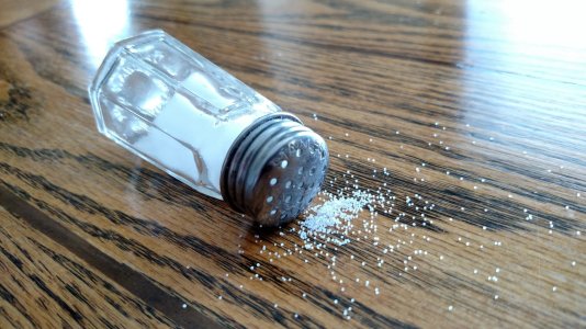 Salt Shaker.jpg