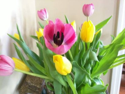IMG_20150404_123052.jpg