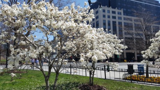 20150406_125936.jpg