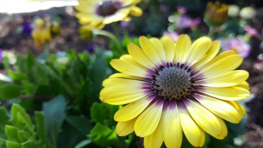 20150418_155716.jpg