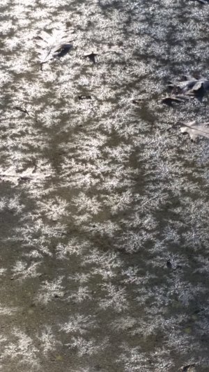 20150116_085508.jpg