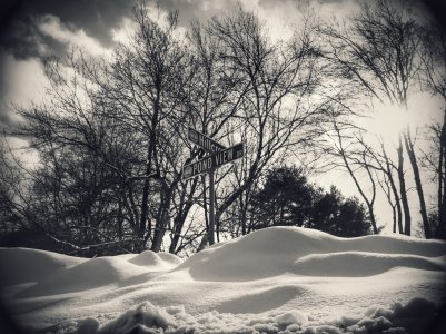 ItsSnowCold2.jpg