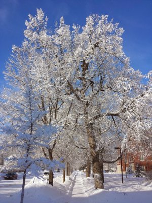 20140221_094222.jpg