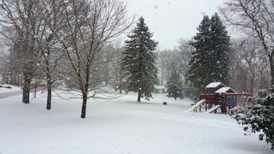 20150201_134806.jpg