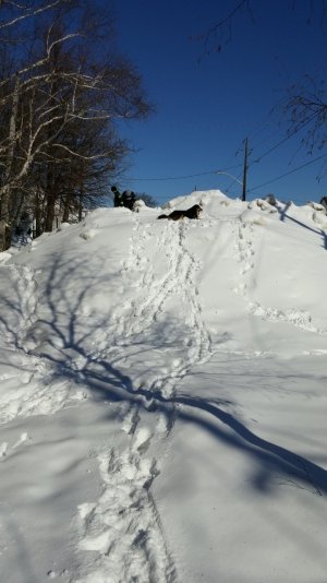 20150315_114552.jpg