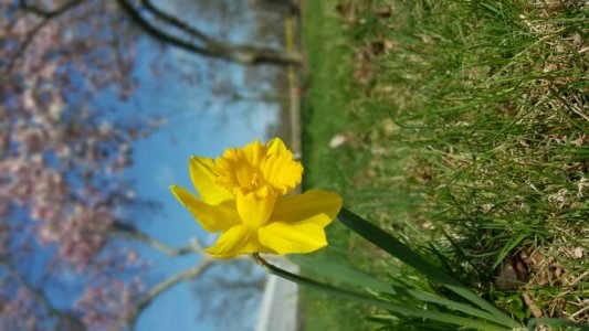 20150418_152856.jpg