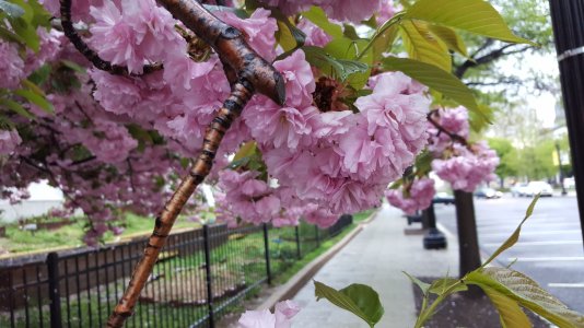 20150420_074218.jpg