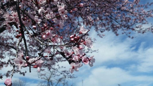 20150301_113922.jpg