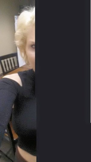 Half Holly.jpg