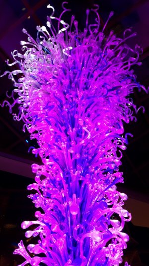 20150419_221853.jpg