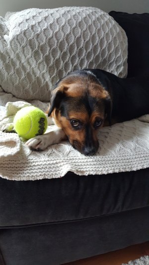 20150410_134117.jpg