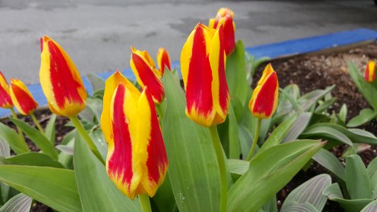 20150410_140623.jpg