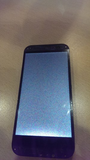 IMAG0826.jpg