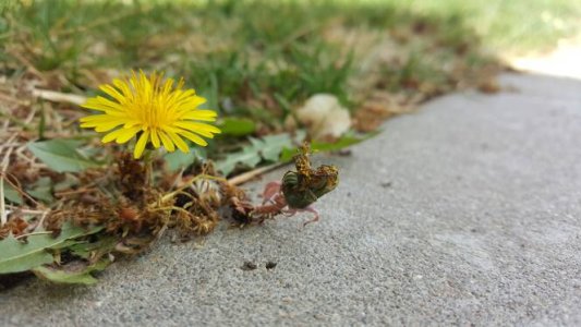 20150411_103255.jpg