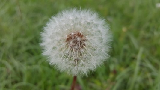 20150417_184026.jpg