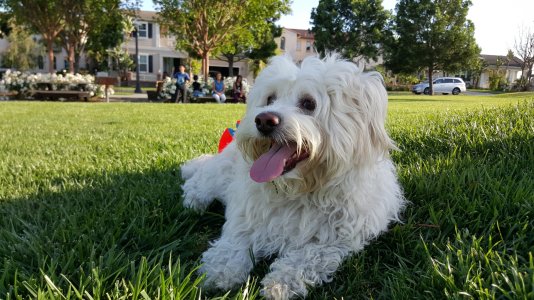 20150419_175221.jpg