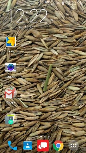 Screenshot_2015-04-11-12-22-11.jpg