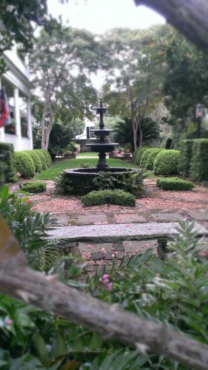 IMAG0710.jpg