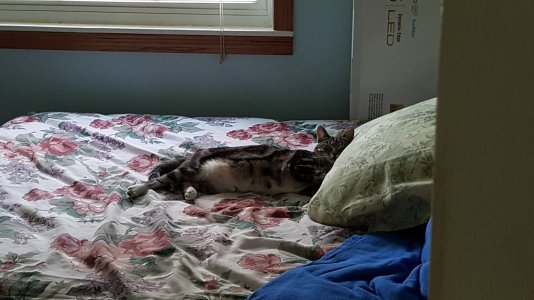 20150411_181451.jpg