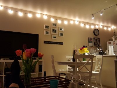 2015-03-25 20.55.04.jpg