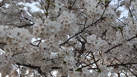 20150411_191809.jpg