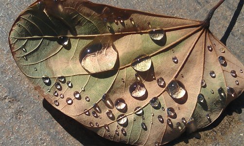 IMAG0872.jpg
