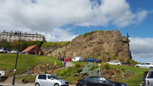 20150504_110154.jpg