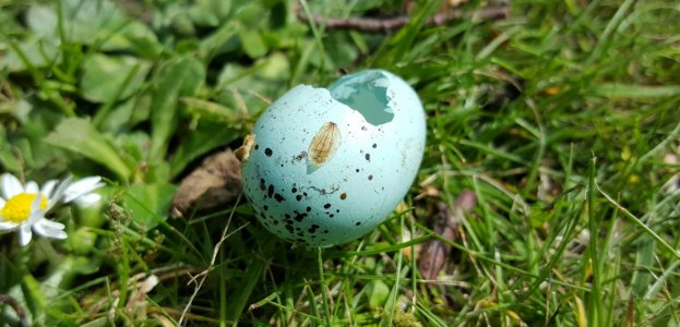 20150413_125530-1.jpg