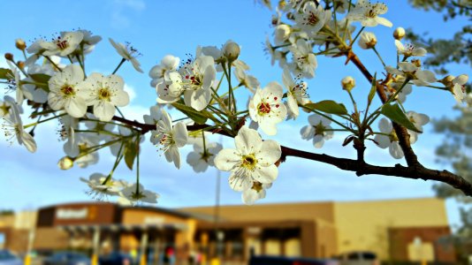 20150503_184649[1].jpg